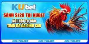 Sảnh S128 tại Kubet: Nơi hội tụ các trận đá gà đỉnh cao