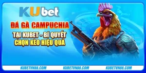 Đá gà Campuchia tại Kubet - Bí quyết chọn kèo hiệu quả