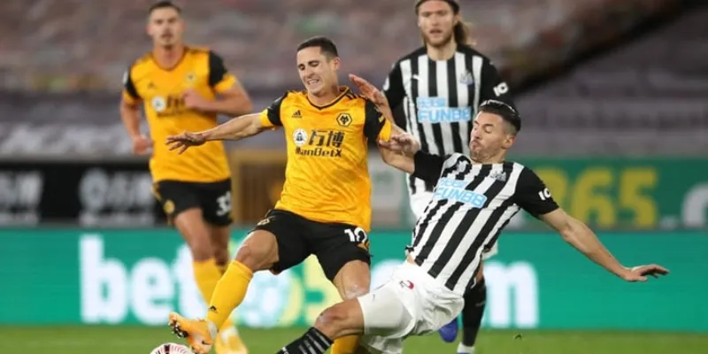 Dự đoán tỷ số trận đấu Newcastle vs Wolves 16/01/2025