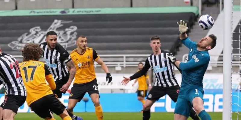 Chiến thuật và đội hình dự kiến Newcastle vs Wolves