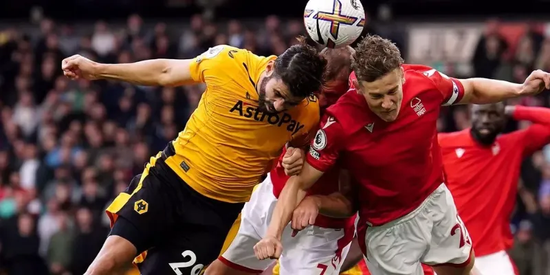 Dự báo tỷ số và kết quả trận đấu Wolves vs Nottingham