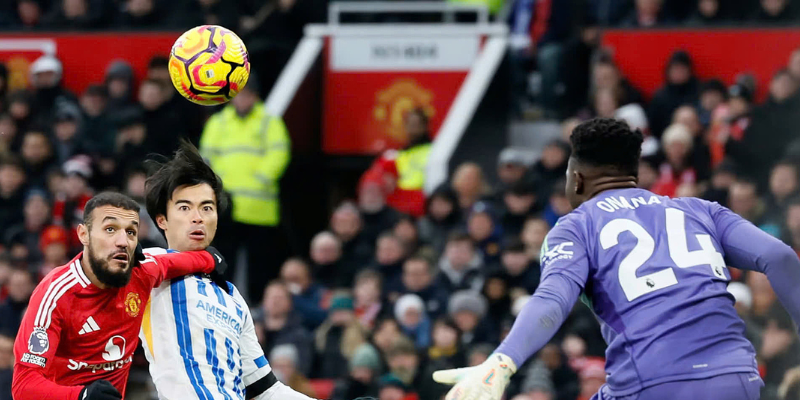 Dự đoán tỷ số trận Brighton vs Fulham 08/03/2025